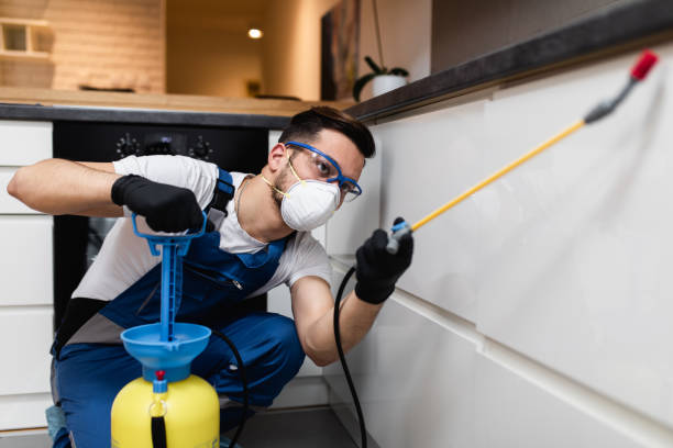 Best Emergency Pest Control  in Lake Grove, NY