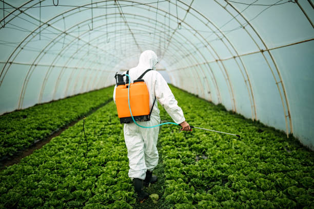 Best Pest Inspection Near Me  in Lake Grove, NY