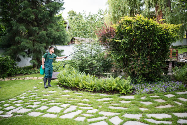 Best Mosquito Control Services  in Lake Grove, NY