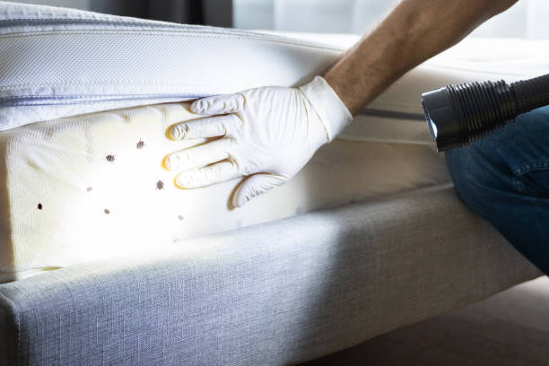 Best Best Pest Control Companies  in Lake Grove, NY