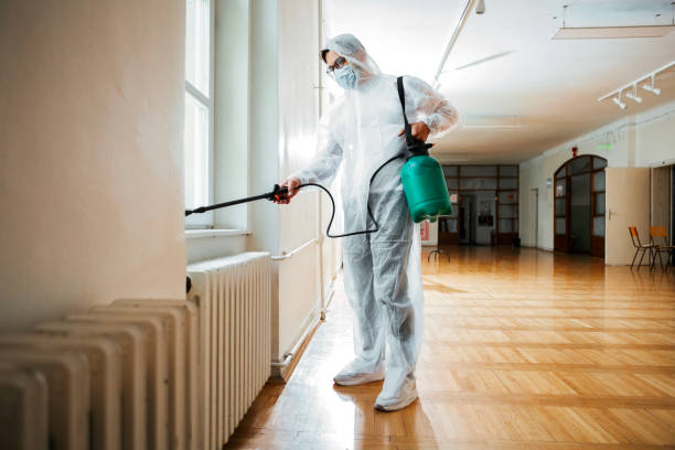 Reliable Lake Grove, NY Pest Control Solutions